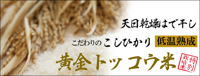 黄金トッコウ米、天日乾燥はで干し、低温熟成、特別栽培米、こだわりのこしひかり
